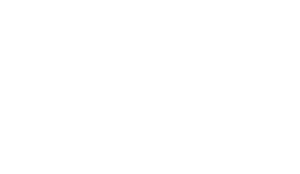 Heidi Peever
